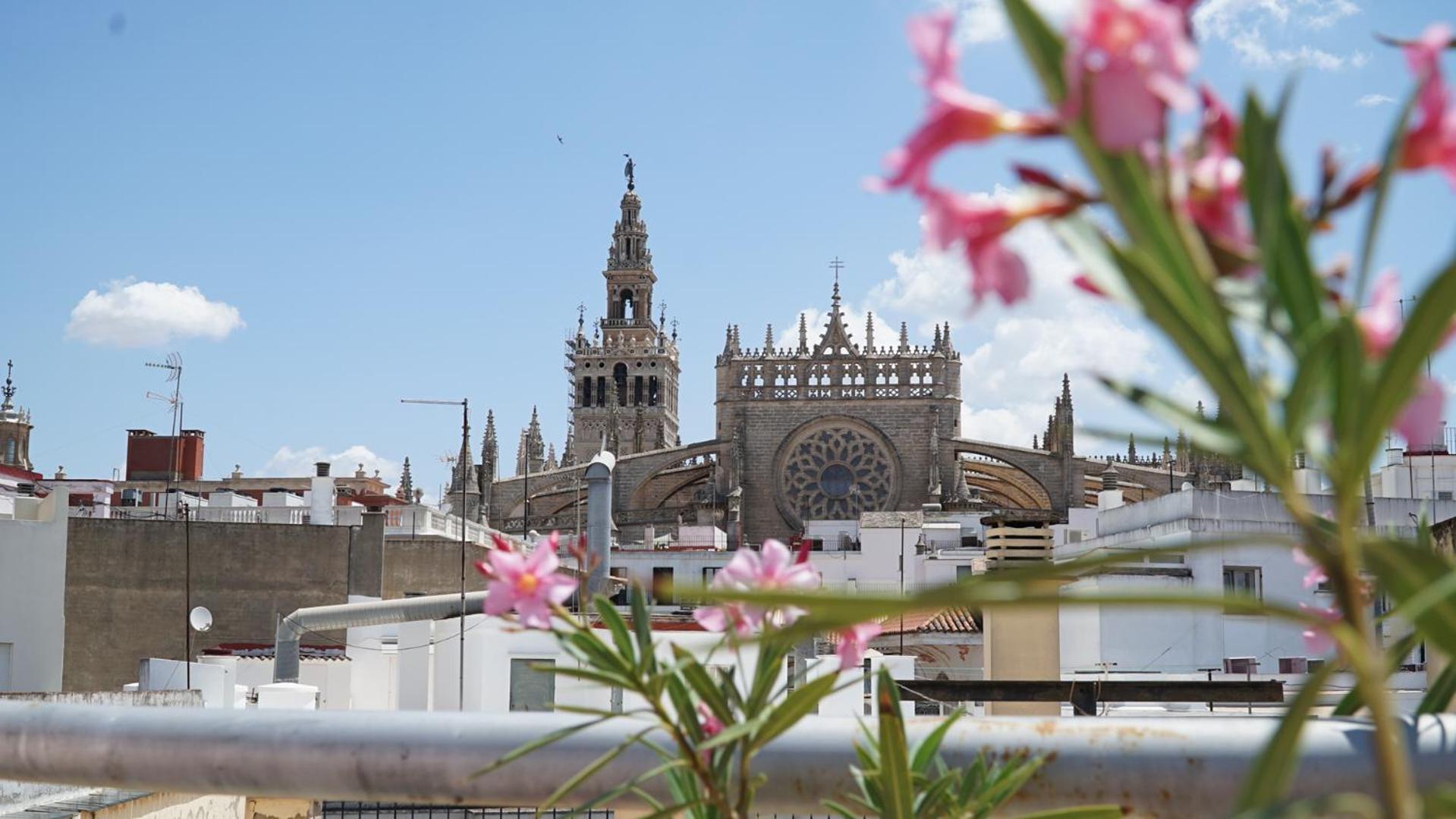 Blue House Arenal Sevilla Exterior foto