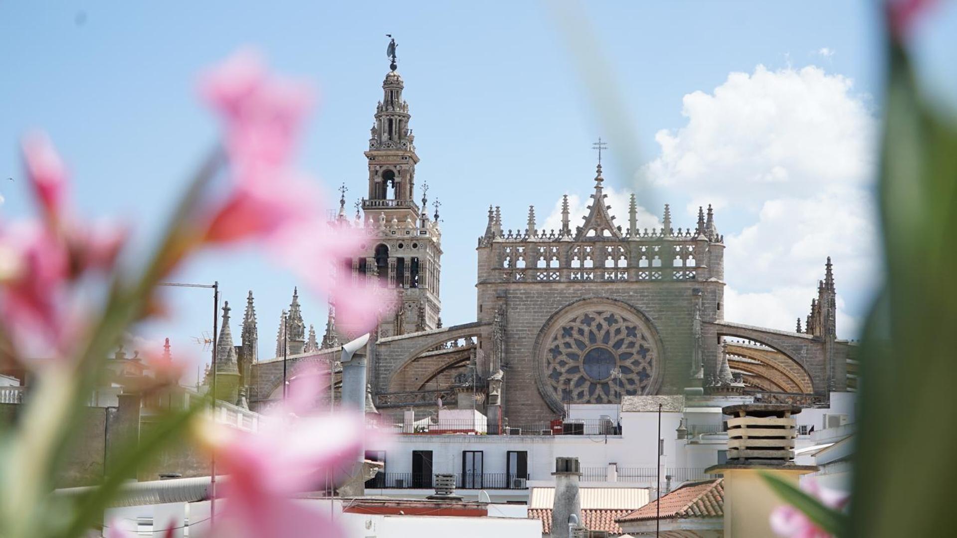 Blue House Arenal Sevilla Exterior foto