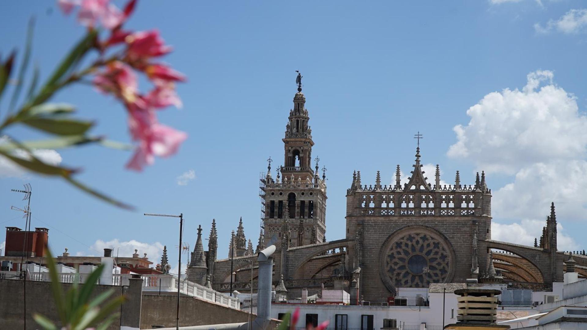 Blue House Arenal Sevilla Exterior foto