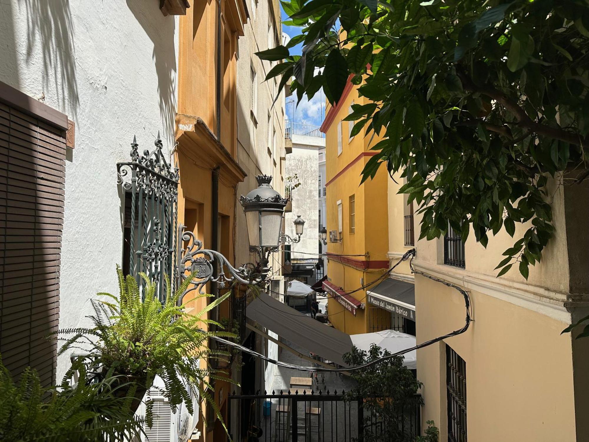 Blue House Arenal Sevilla Exterior foto